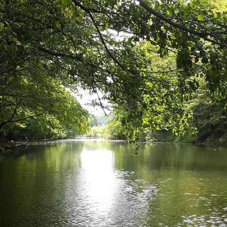 Peace Of Nature *** سلوني المظهر الخارجي الصورة