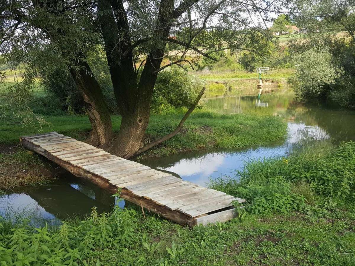 Peace Of Nature *** سلوني المظهر الخارجي الصورة