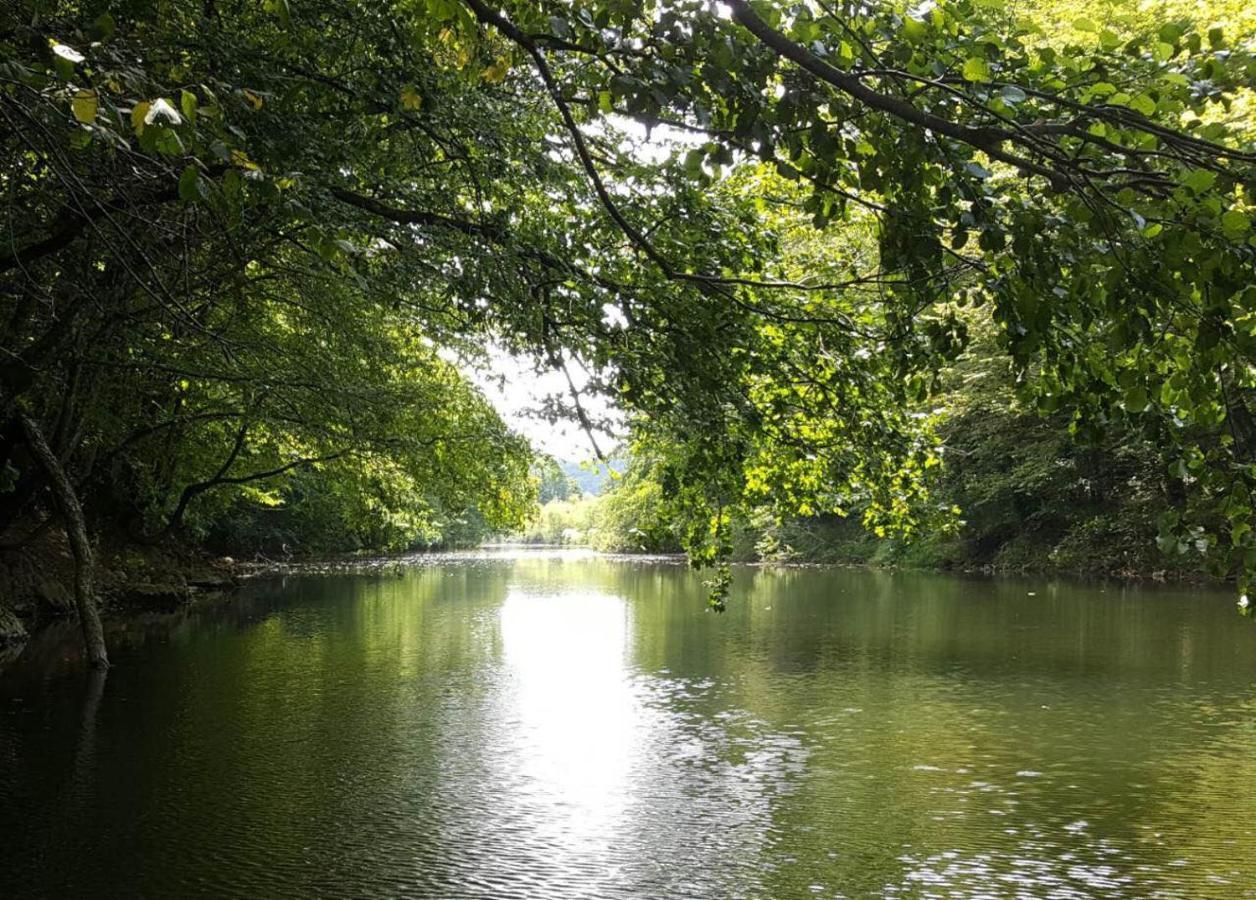 Peace Of Nature *** سلوني المظهر الخارجي الصورة