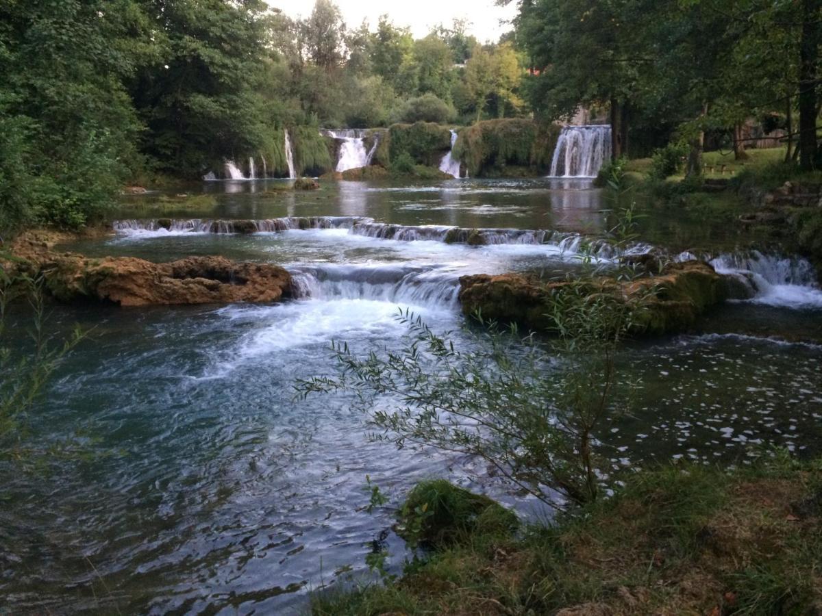 Peace Of Nature *** سلوني المظهر الخارجي الصورة